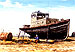 Moss Landing Sailor